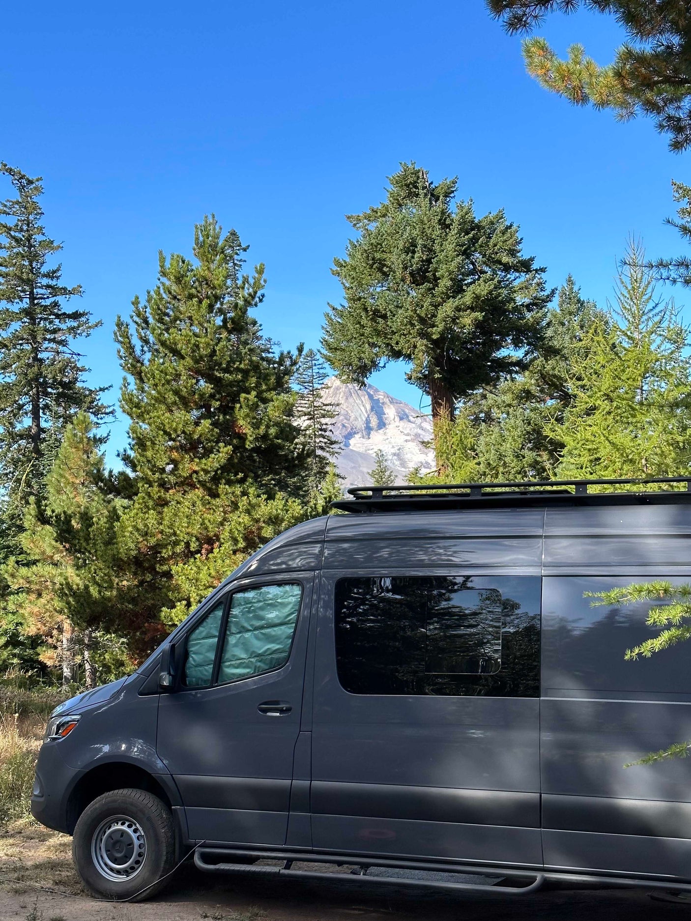 Scenic RV rental view: a grey camper van parked among trees, with a majestic snow-capped mountain peaking through.