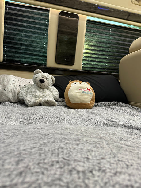 Cozy RV rental interior with plush bed, bear, & squishmallow. Perfect for relaxing travel.