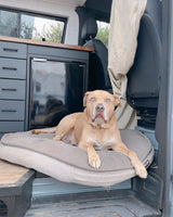 A tan dog with bright eyes rests on a dog bed inside a well-appointed rv rental van with custom interior.