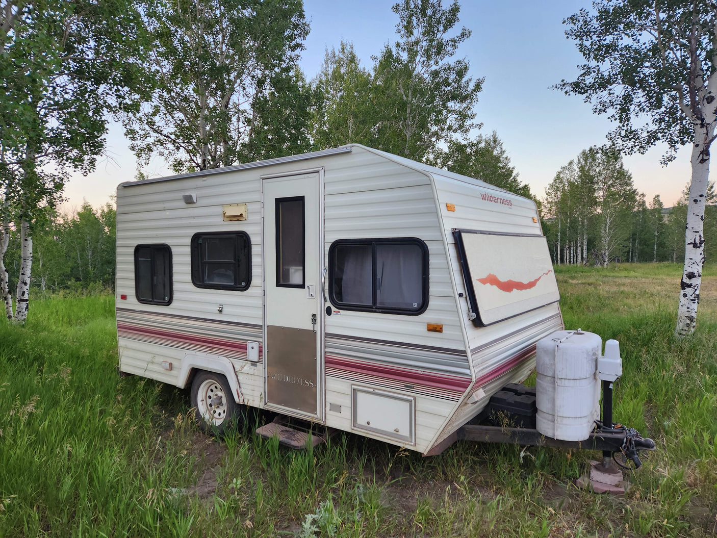 This cozy Wilderness travel trailer, perfect for an RV rental, sits in a grassy field with trees.