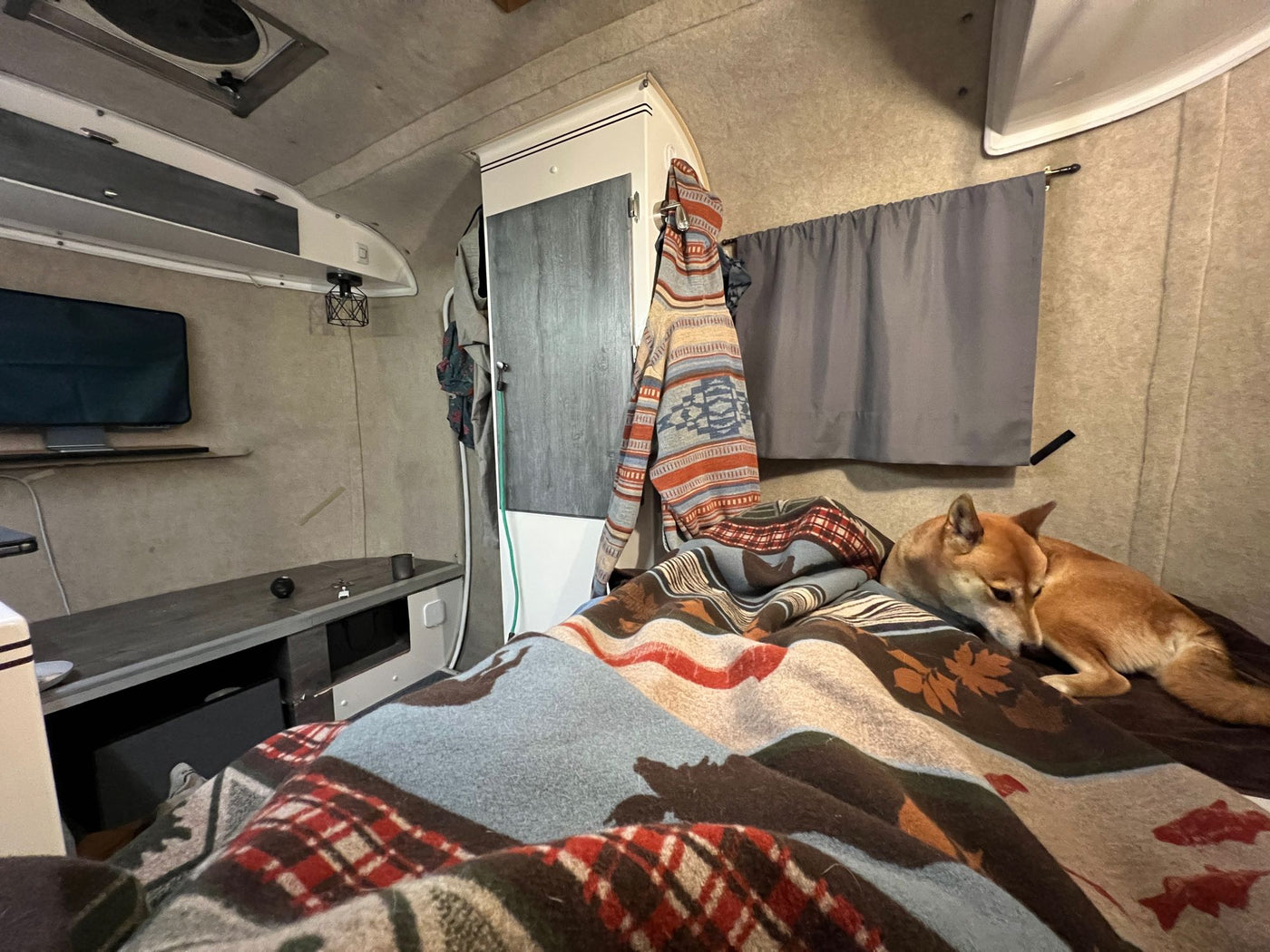 Cozy RV rental interior with a Shiba Inu dog relaxing on a patterned blanket, showing the bed, TV, and storage. — photo 11