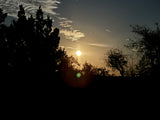 Experience this vibrant sunset over silhouetted trees, glowing clouds, and faint stars from your RV rental.