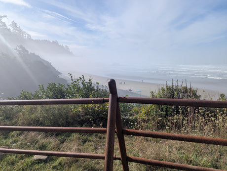 RV rental vacation: Misty coastal beach, people, ocean waves, and forested hills seen through a rusty fence.