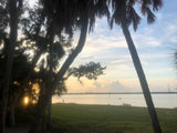 Sunrise over a tranquil bay, framed by silhouetted palms, with kayakers & paddlers. An ideal RV rental destination.