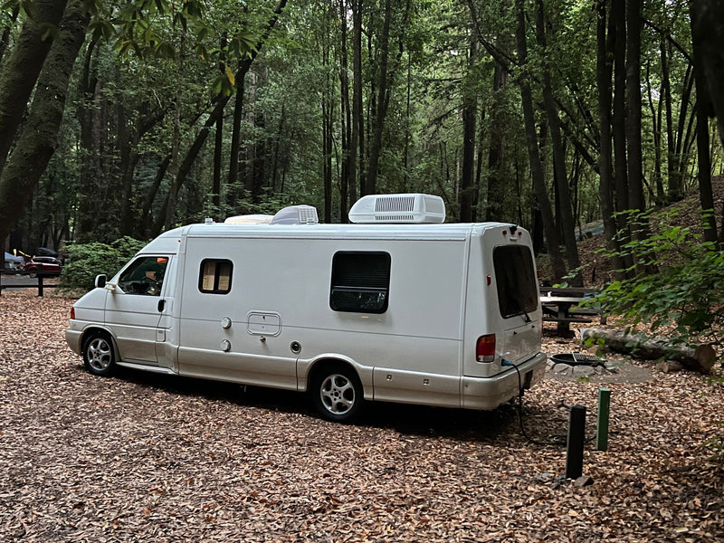  leaf-covered forest campground — photo 3