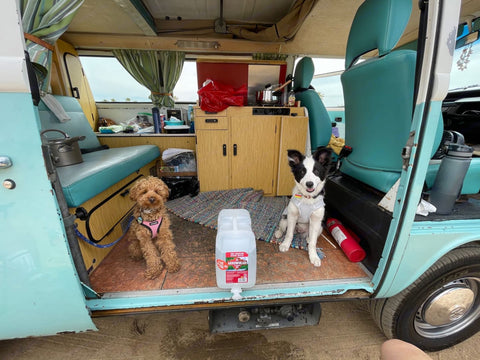 "ALA Lani" Automatic Shift VW T2 Camper Van overland rental