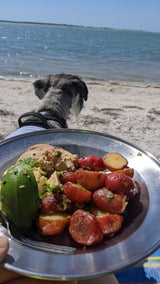 Roasted potatoes, avocado, and protein on a plate, with a dog gazing at the beach and calm water. Ideal RV rental picnic.
