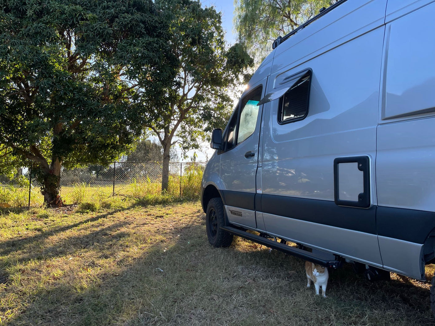 A silver RV rental van is parked on grass with a cat peeking out. Perfect for outdoor adventures with your pet!