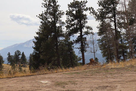An RV rental journey through scenic mountain nature, with a dirt road, pine trees, and distant snow-capped peaks.