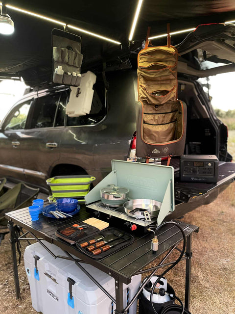 Luxury Land Cruiser — photo 4
