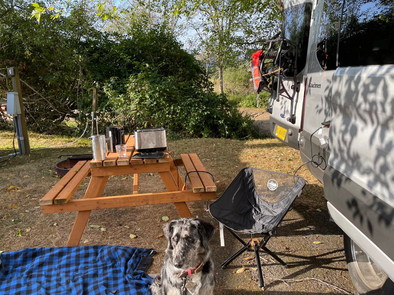  and ginger beer on a checkered table. Perfect outdoor meal.|This RV rental interior features a compact kitchen with induction cooktop — photo 8