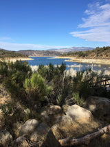 Serene blue lake and hills under clear sky. Foreground shows green bushes, dry grass, and rocks. Perfect for an RV rental adventure.