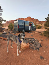 Luxury Self-Built 2019 RAM Promaster 3500