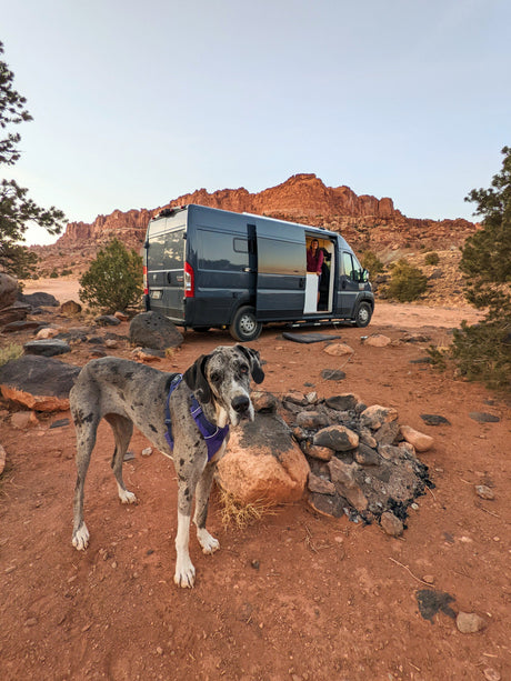 Luxury Self-Built 2019 RAM Promaster 3500