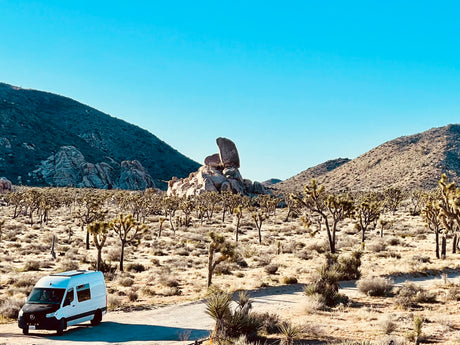 RV rental enjoying Joshua Tree National Park's desert landscape with rock formations and Joshua trees.