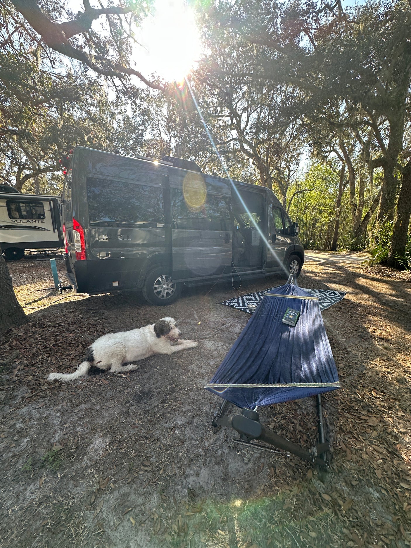Shaded RV rental campsite with a relaxing dog and blue hammock. Perfect for enjoying nature and outdoor living.