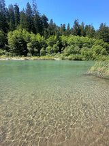A clear green river with sunlit ripples revealing the riverbed, flanked by dense forest. Your RV rental adventure awaits!
