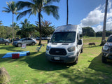 An rv rental van and picnic setup on green grass in a sunny Hawaiian park with palm trees, other cars, and a dog.