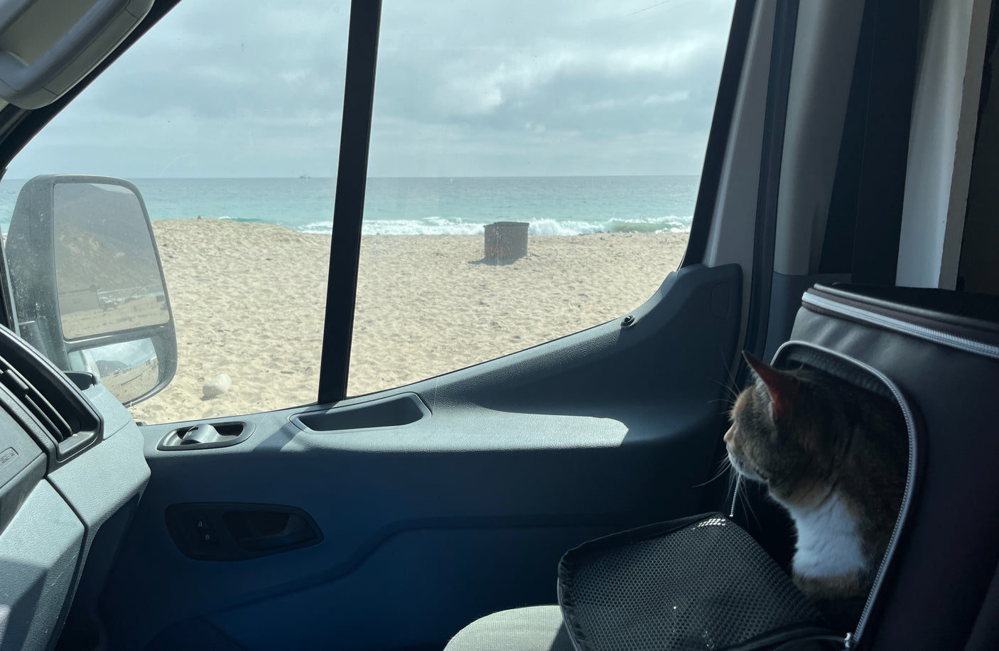 Cat in RV rental carrier gazes at ocean waves and sandy beach from inside the vehicle, with a clear horizon.