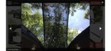 Inside an RV rental: Looking up through a skylight at bright blue sky and lush green tree canopies.