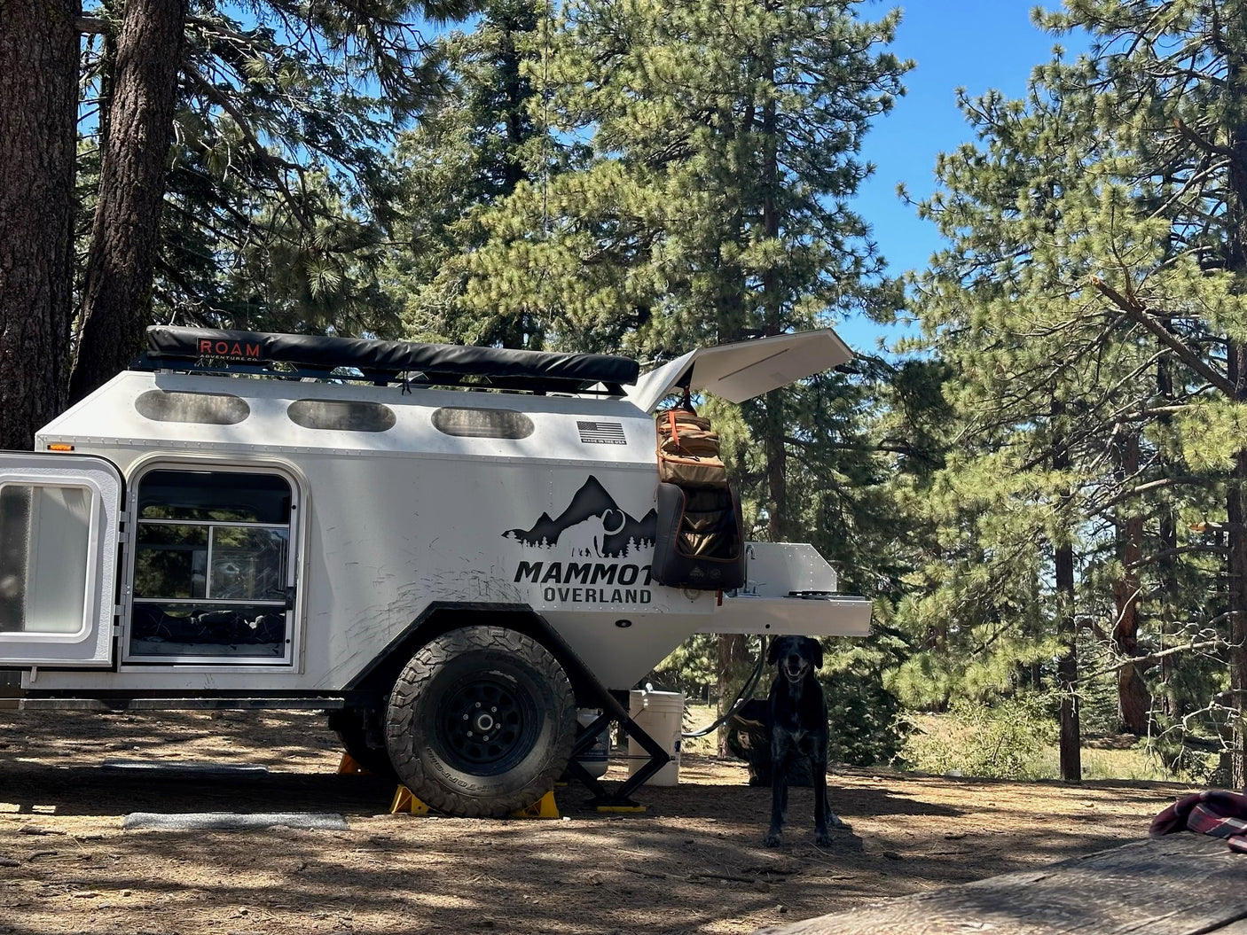 Mammoth Overland RV rental: A rugged trailer with a happy black dog awaits adventure in a sunny pine forest campsite.