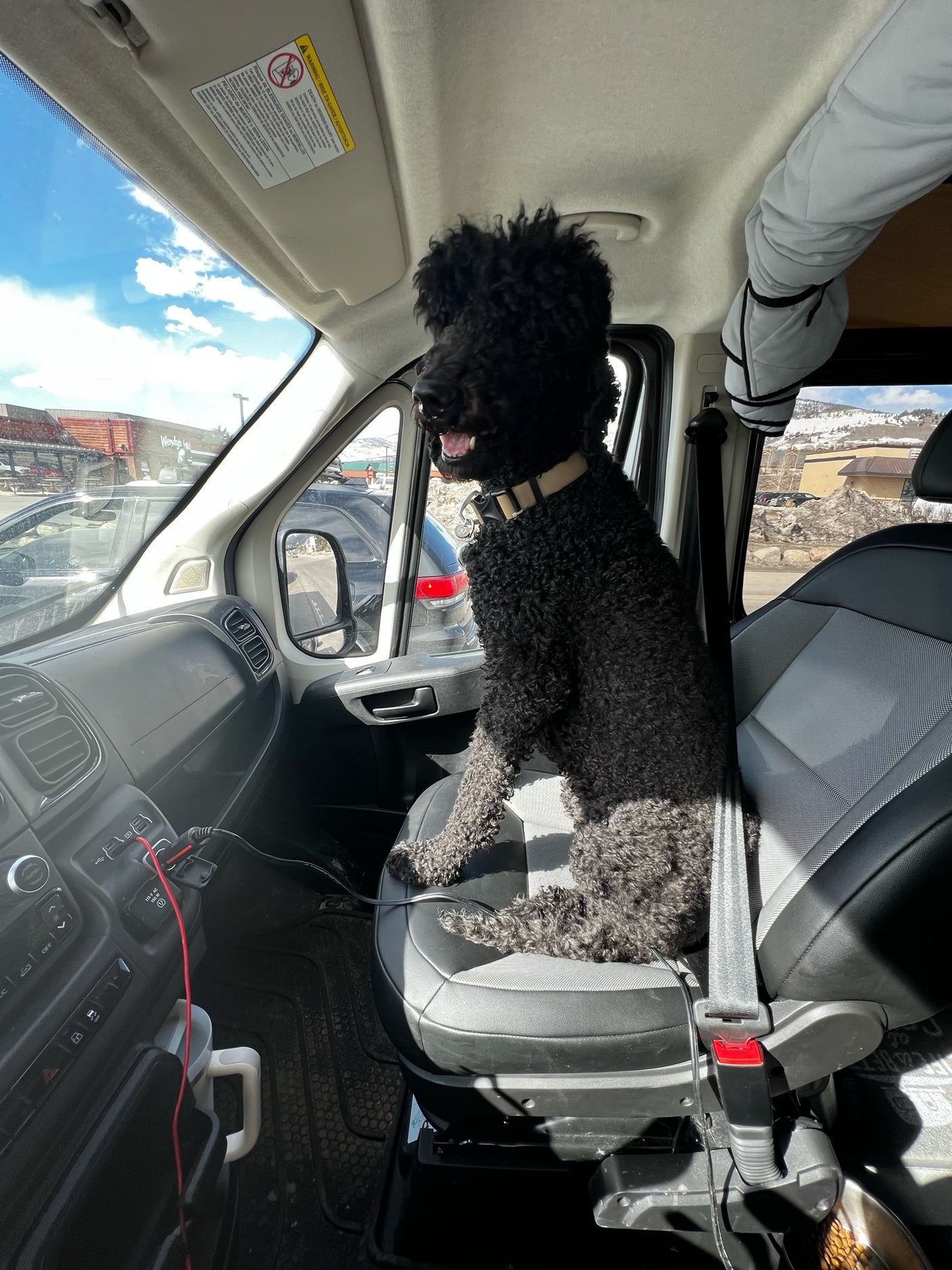 A happy black curly dog rides shotgun in an rv rental, peering out at a Wendy's and snowy mountains through the windshield.