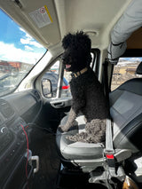 A happy black curly dog rides shotgun in an rv rental, peering out at a Wendy's and snowy mountains through the windshield.