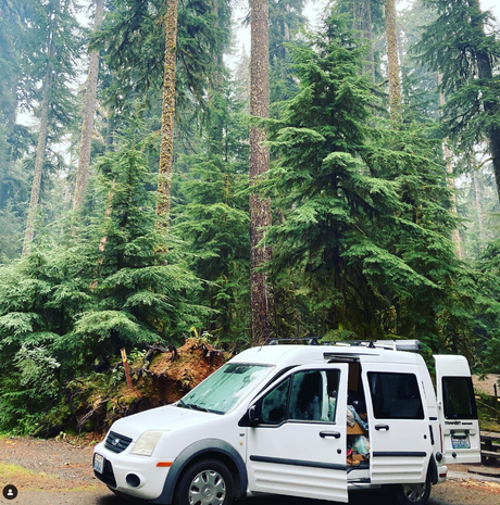 White RV rental van exploring a lush, misty forest. The camper's doors are open, ready for adventure.