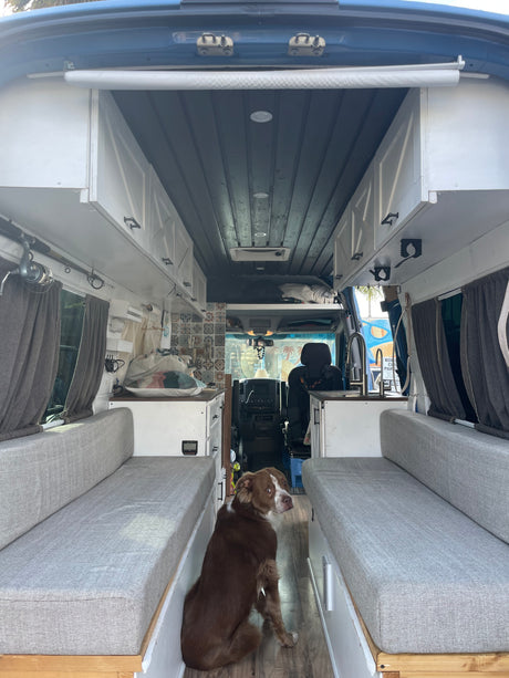 RV rental interior: A brown dog sits in the aisle, flanked by custom cabinetry, benches, and a kitchenette.