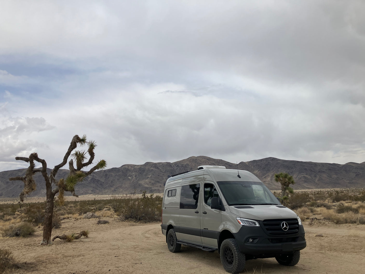 Explore the desert! This adventure camper van, ideal for RV rental, is parked near a Joshua tree with mountains under cloudy skies.