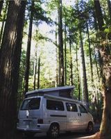 A white RV rental camper van with its pop-top extended is parked in a lush, tall forest, perfect for nature getaways.