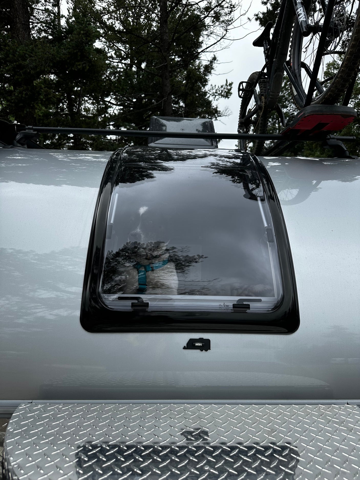 An RV rental, complete with a dog peeking from the window and a bike on the roof rack, ready for adventure.