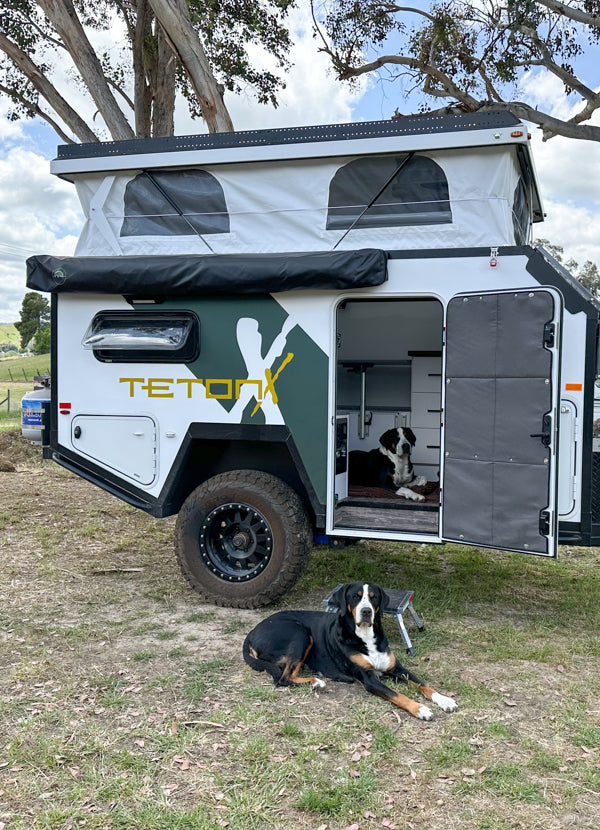 RV rental: TetonX pop-top camper trailer setup with two dogs; one inside, one outside on the grass. Great for pet travel.