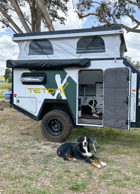 RV rental: TetonX pop-top camper trailer setup with two dogs; one inside, one outside on the grass. Great for pet travel.
