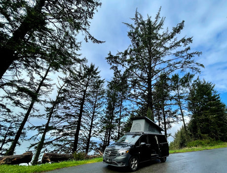 Black Mercedes campervan RV rental with pop-top extended, parked on a road lined with tall evergreen trees overlooking the ocean.