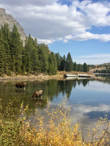 See two moose in a tranquil lake near a pier and mountains, perfect for an RV rental trip exploring nature in autumn.