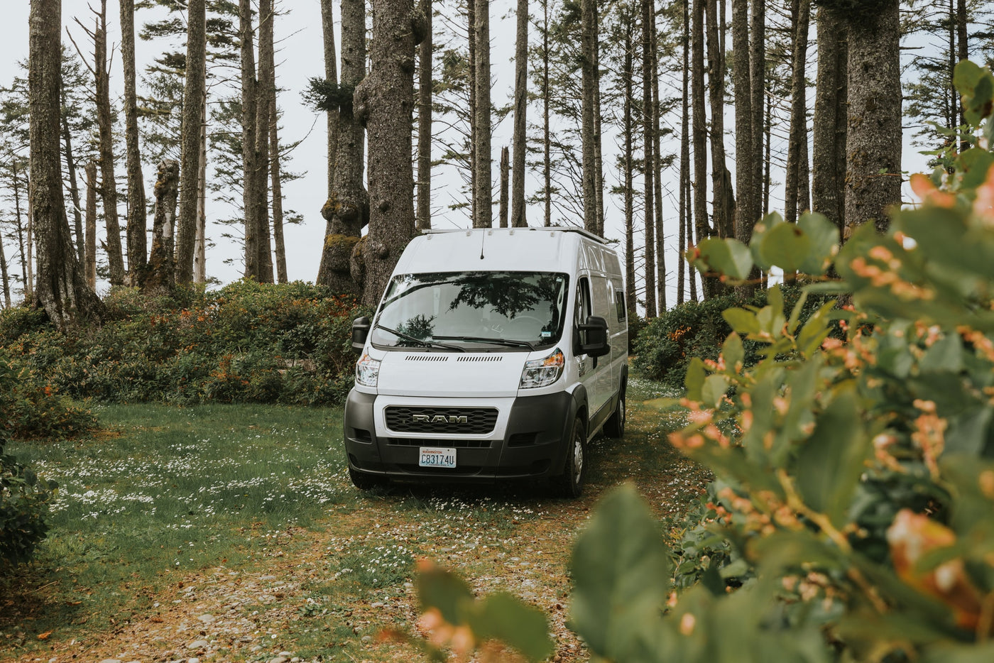 White Ram camper van, an RV rental, parked on a forest path with tall, dense trees. — photo 15