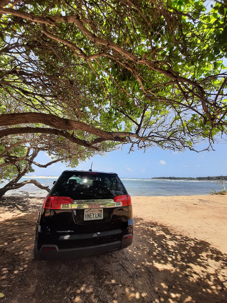 A black GMC Terrain SUV by the ocean, under a shady tree on a sandy path. Perfect for beach trips, like an RV rental adventure!