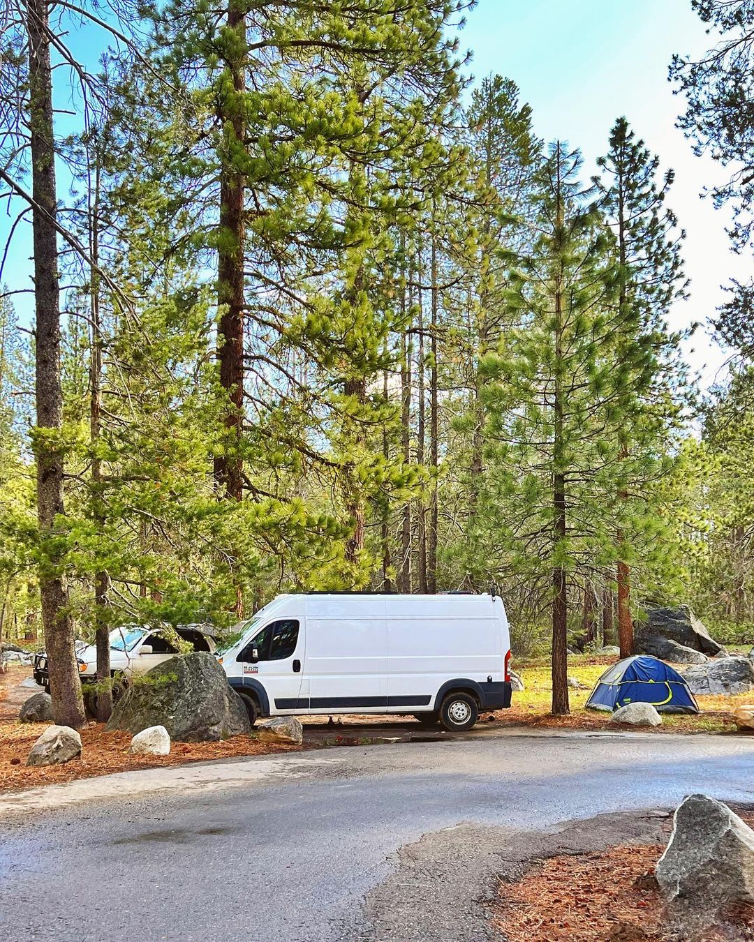 Cozy Cabin on Wheels Custom Build — photo 20
