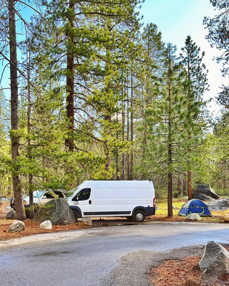 Cozy Cabin on Wheels Custom Build