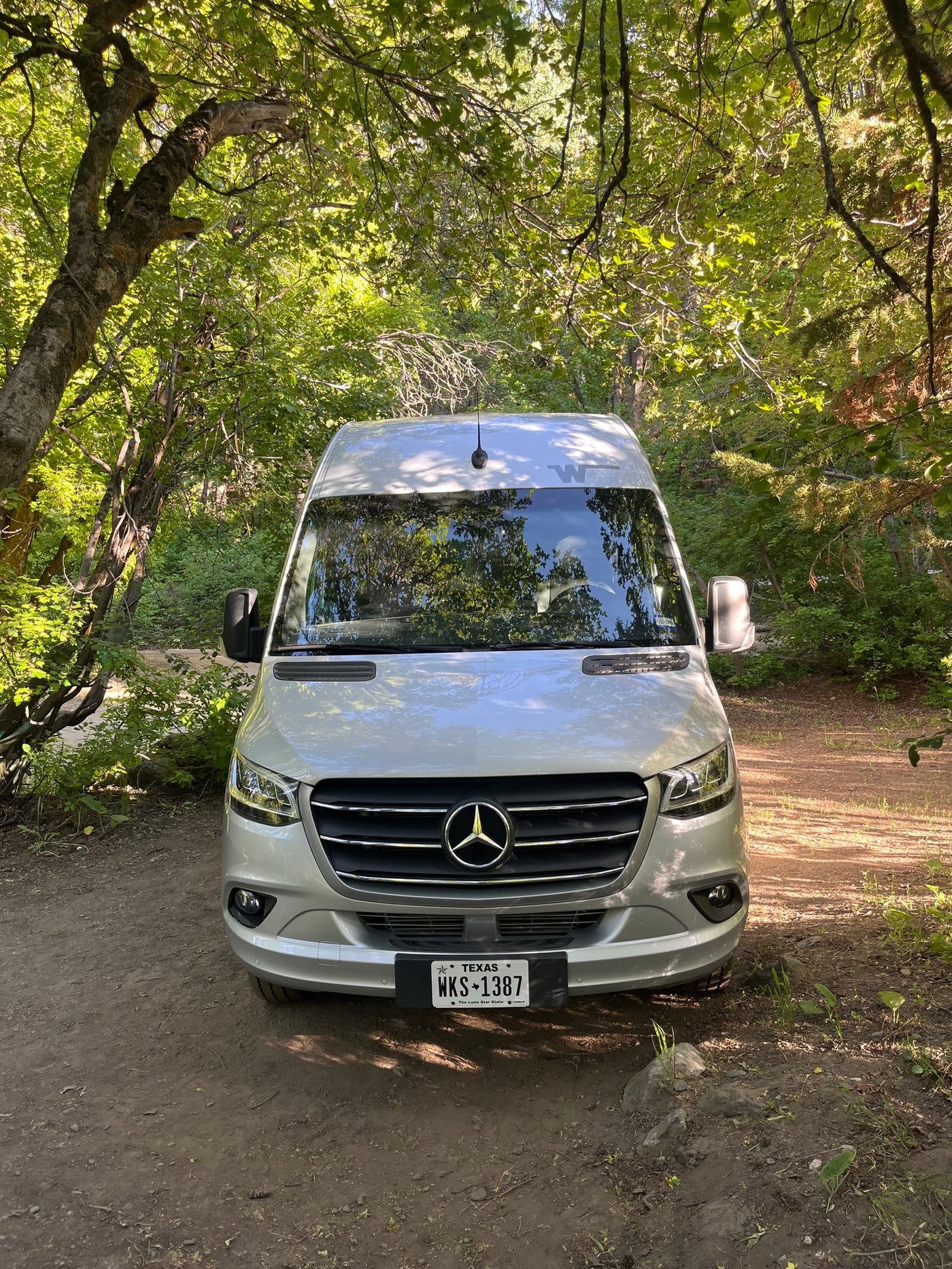 A sleek silver Mercedes Sprinter RV rental is parked on a shaded dirt path surrounded by lush forest foliage. — photo 10