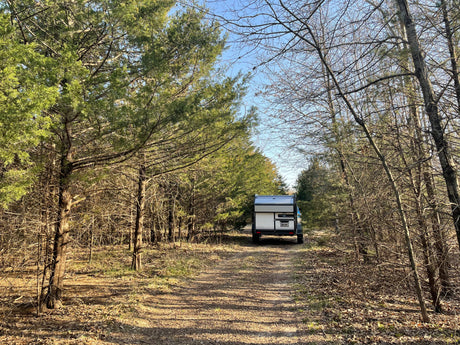 A compact RV rental is parked on a rustic dirt path, surrounded by green and bare trees under a clear sky. Ideal for nature trips.