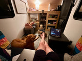 Cozy RV rental interior. Person's legs up, laptop & tablet (Three Pines playing), two dogs relaxing. "Our nest" sign above.