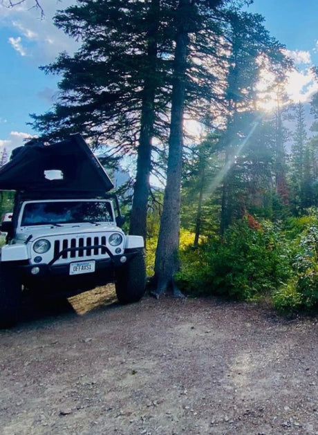 White Jeep with rooftop tent on dirt road in sunlit forest. Ideal RV rental for off-grid camping adventures and outdoor escape.