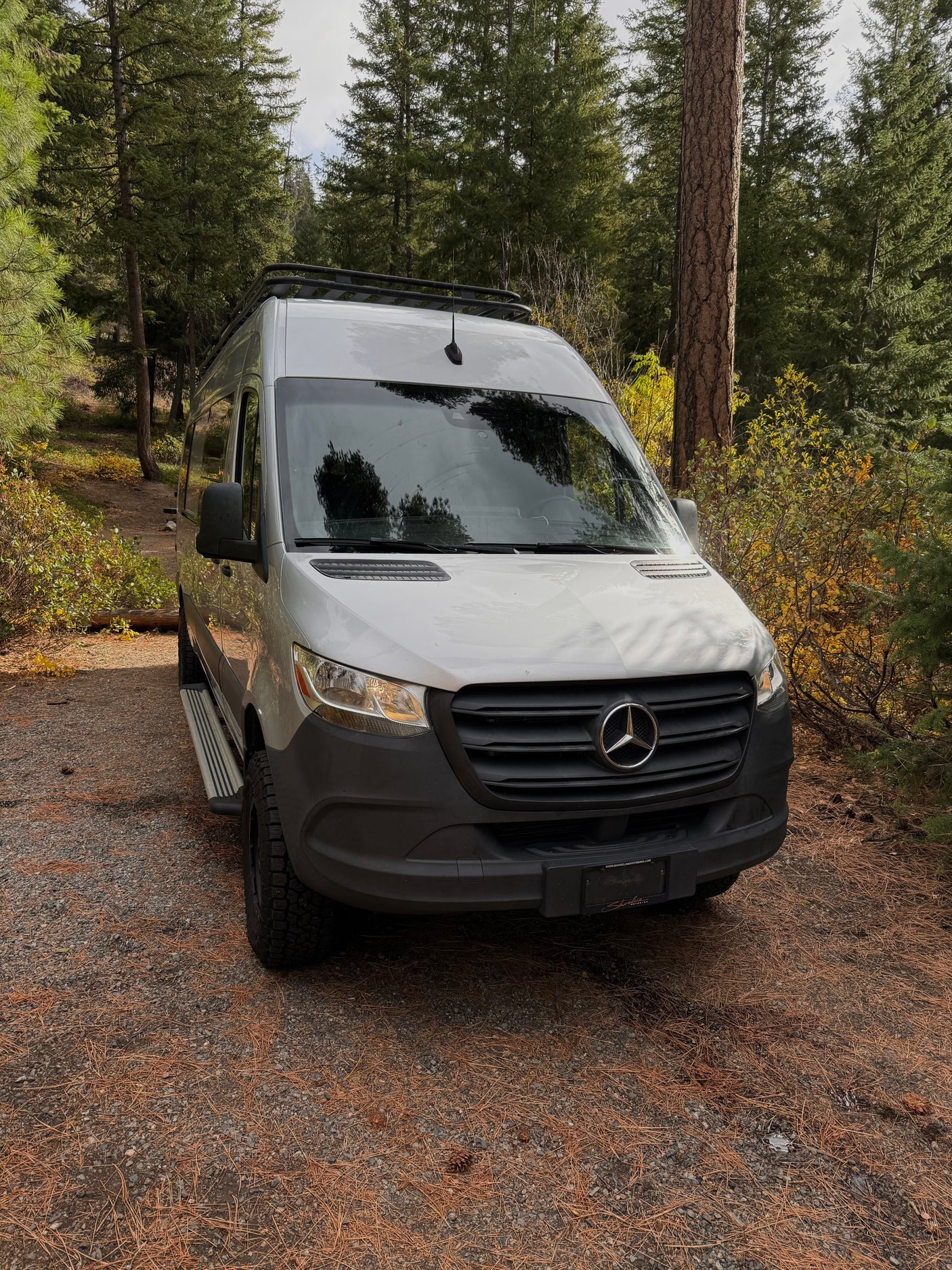 Silver Mercedes Sprinter RV rental parked on a gravel path with pine needles, surrounded by tall evergreen trees.