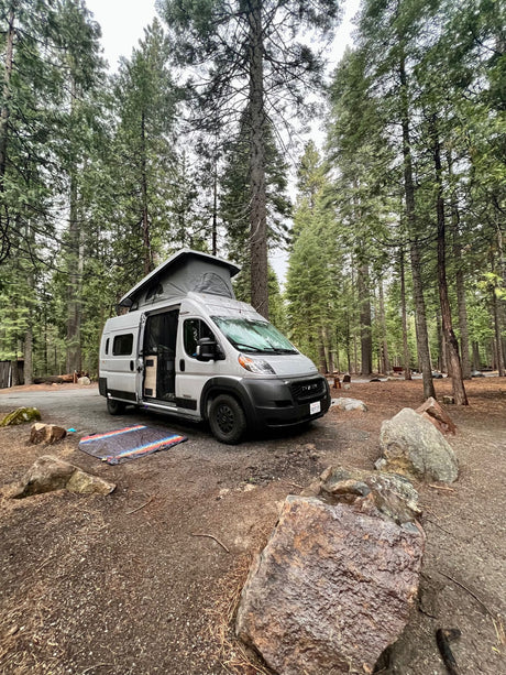 Explore the outdoors with this light grey camper van rv rental, parked at a rustic forest campsite among tall trees.