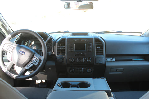 4x4 F150 "Mama Bear" — photo 5
