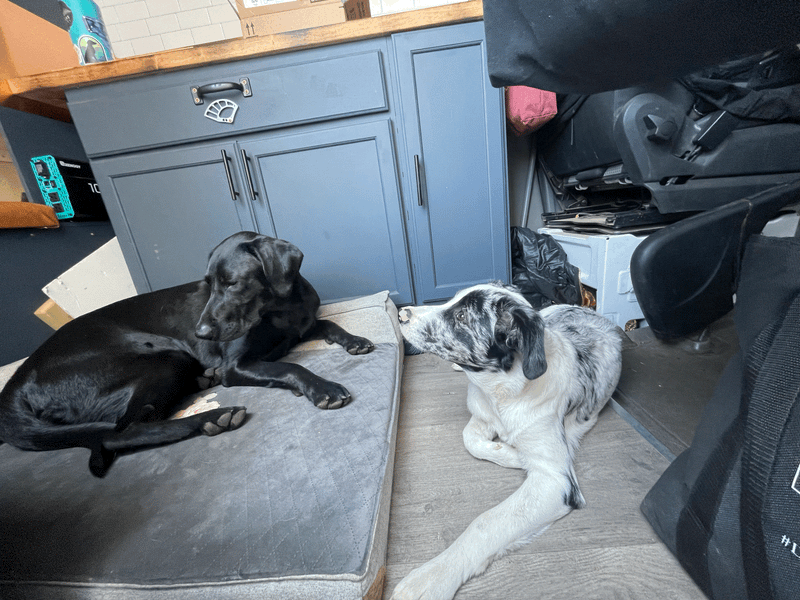 Jean Claude Damme Van - Cozy Off-Grid 4 Season Adventure Van! — photo 7