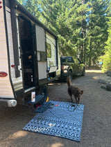 RV rental: A travel trailer, truck, and brown dog on a patterned mat at a pine-filled campsite, ready for adventure and the outdoors.