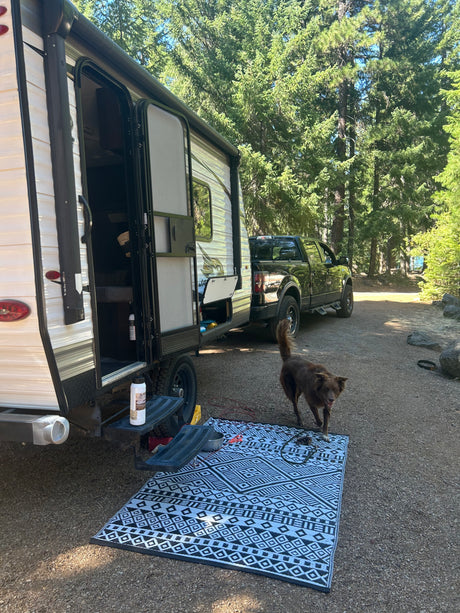 RV rental: A travel trailer, truck, and brown dog on a patterned mat at a pine-filled campsite, ready for adventure and the outdoors.